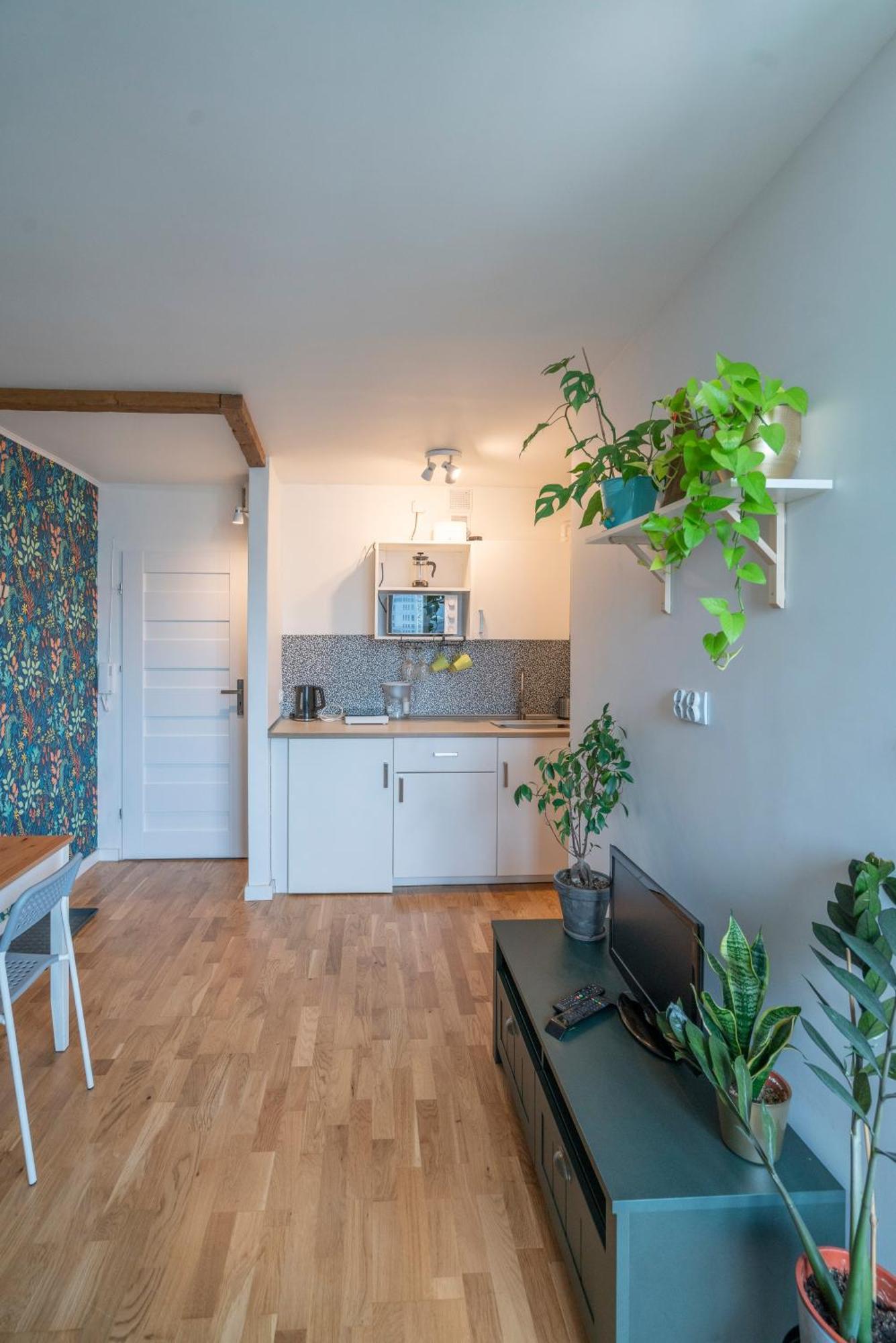 Green Studio In The City Center Of Breslau Exterior foto